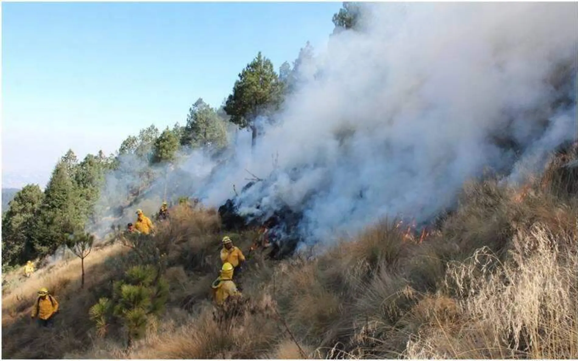 Incendio forestal